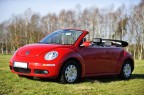 VW New Beetle Cabrio - 1600 zl.
